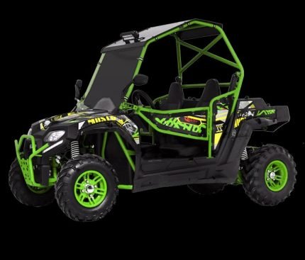 BMS Avenger 200 EFI Sport Side by Side Utility Terrain Vehicle UTV image 1